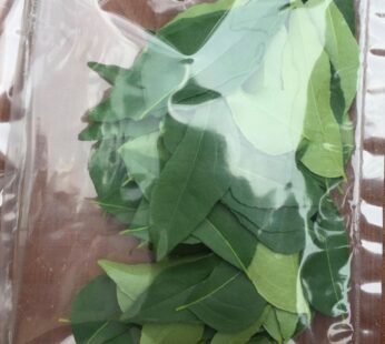 Fresh Curry Leaves Small Pack