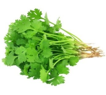 Fresh Coriander