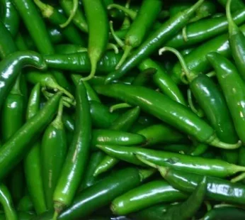 Fresh Green Chillies small