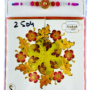 Rakhi With Card